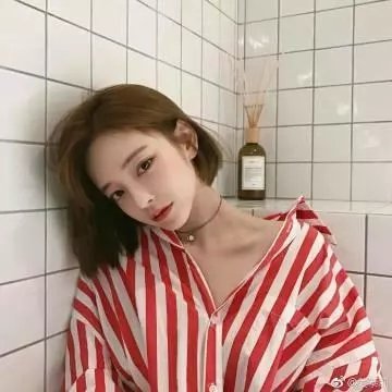 总统与奶牛